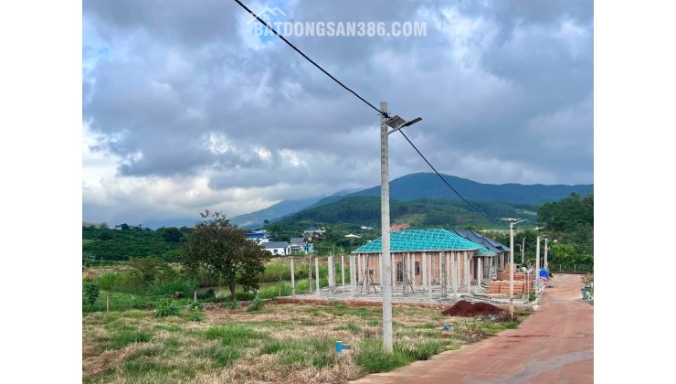 Cần Bán Đất 322m² Có 259m² Thổ Cư, Mặt Tiền 12m, Sẵn Hạ Tầng Xây Nhà
